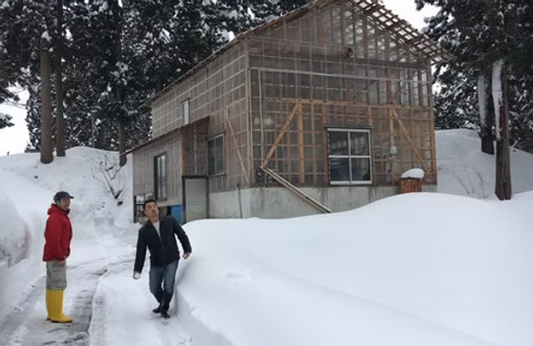 Selezione Koi invernale: il viaggio di gennaio 2019 a Niigata
