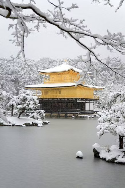 Autunno a Niigata: 10 giorni tra selezioni, pioggia e koi indimenticabili