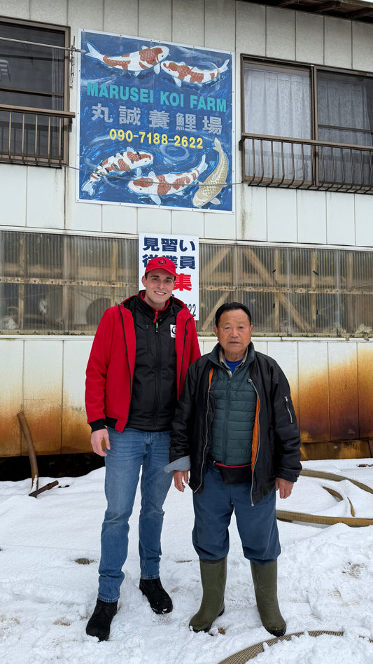 Giappone 2026 - Febbraio, selezione invernale extra