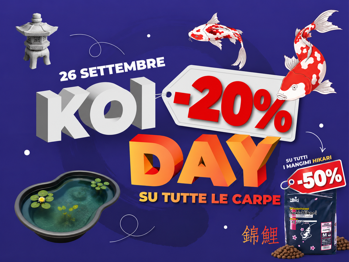 Mangime Hikari -50% nel carrello