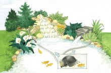 Pontec PondoMax Eco 5000 Pump disegno di esempio collegamento