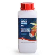 AquaForte Pond Support KH+ 1 L