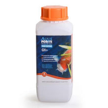 AquaForte Pond Support GH+ 1 L