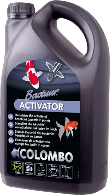 Activator 2,5 L