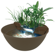 Mini Pond – Marrone