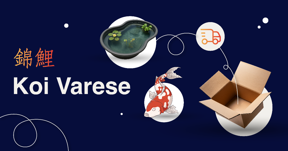 Immagine seo per condivisione