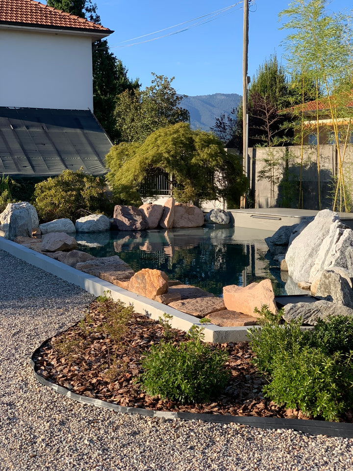 Koi Pond Koi Varese