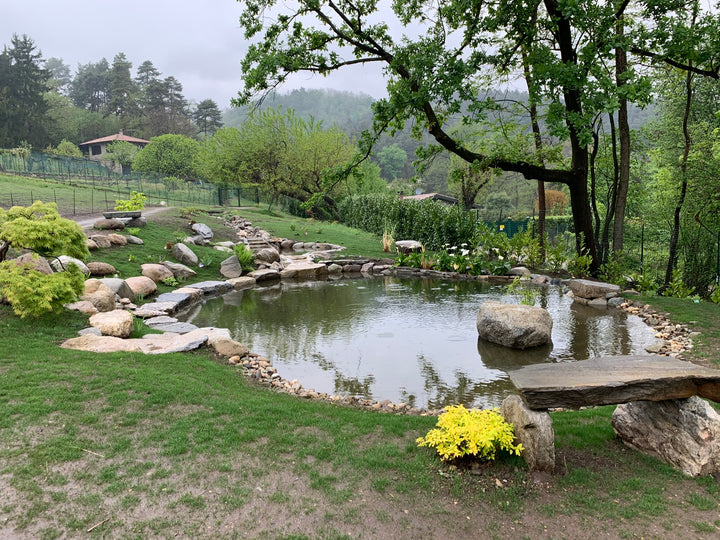 Koi Pond con ruscello, panchina in pietra e piante