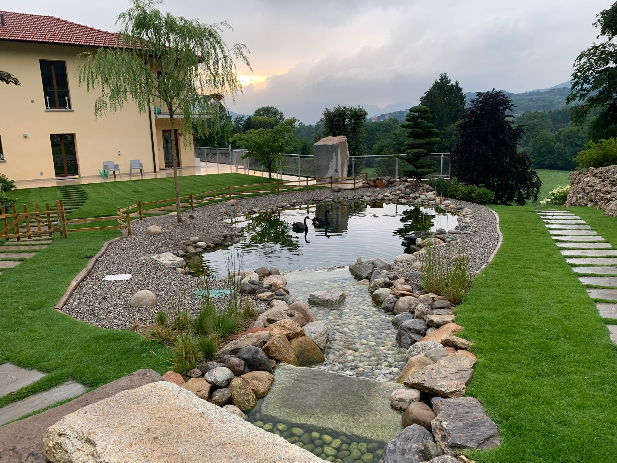 Koi Pond in un giardino con cigni e ruscello
