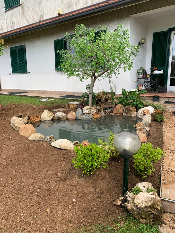 Piccolo Koi Pond
