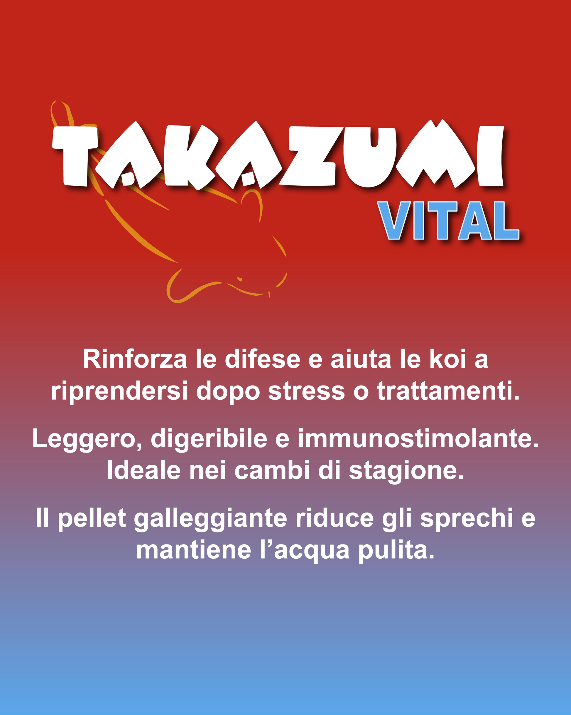 Takazumi Vital - Grafica informazioni aggiuntive 