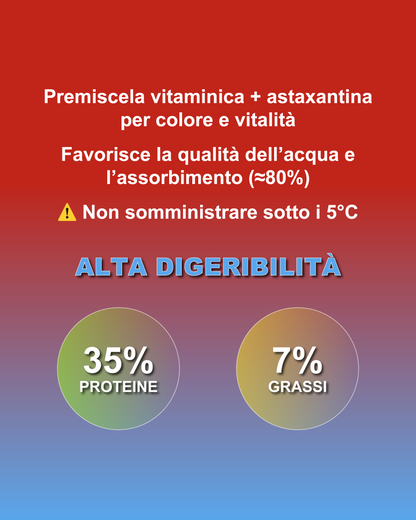 Takazumi Vital - Grafica informazioni aggiuntive 2