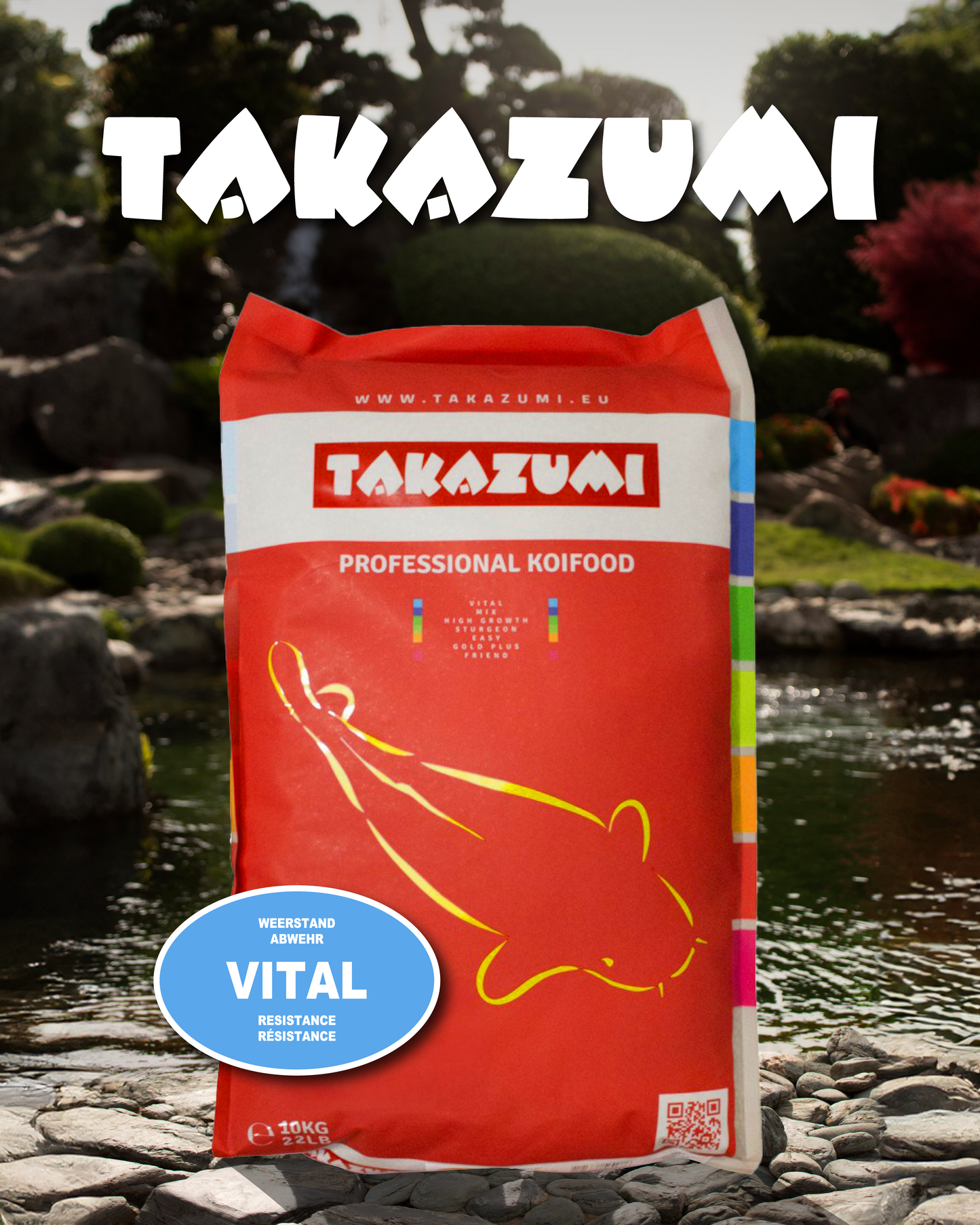 Takazumi Vital - Grafica informazioni aggiuntive 3