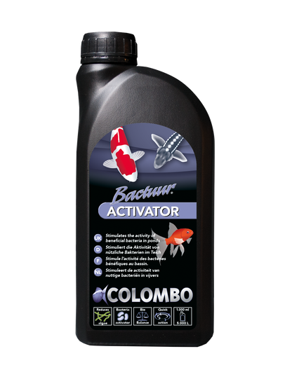 Activator 1 L