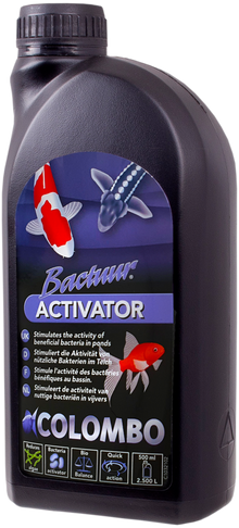 Activator 500 ml