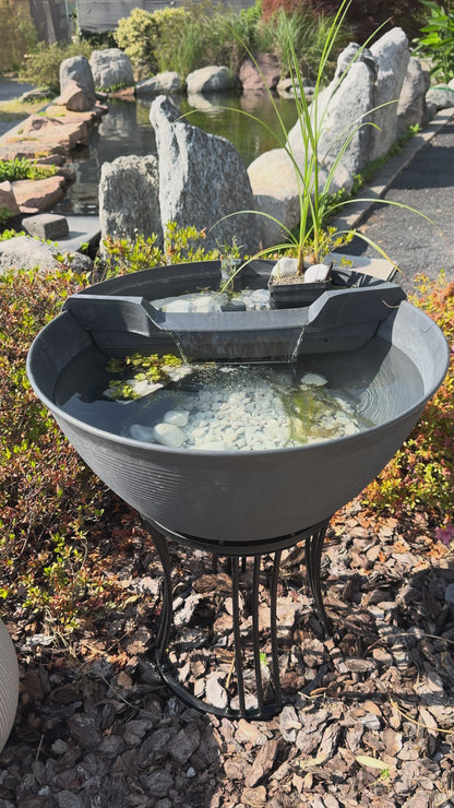 Mini Pond con Pompa Integrata